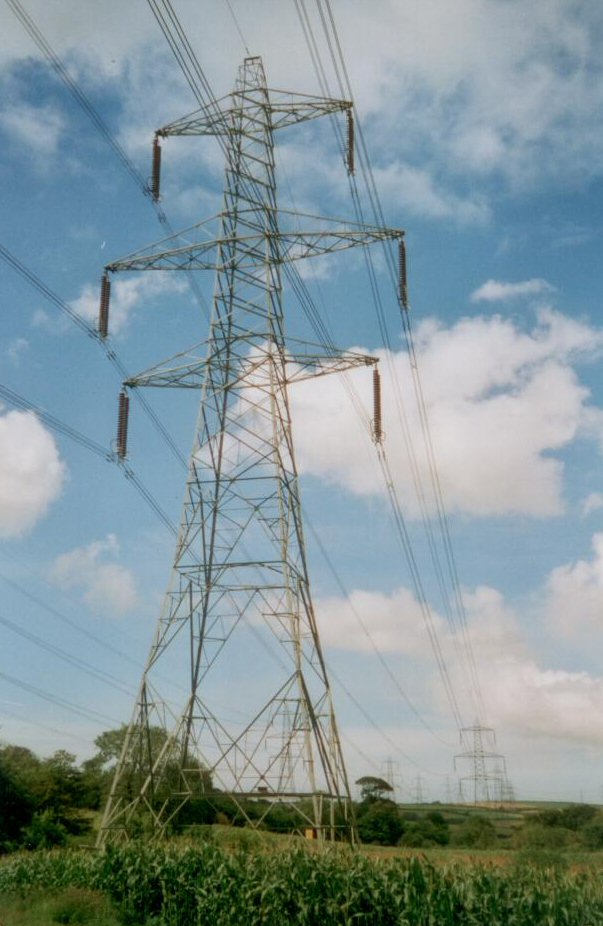 Image of an electricity pylon tree