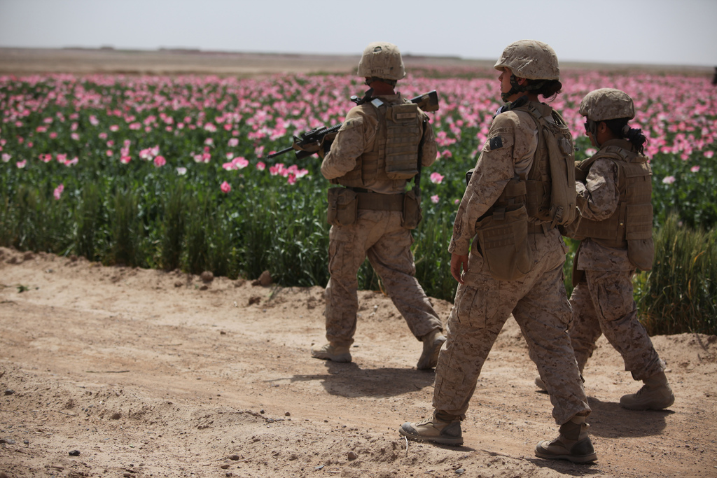 U.S. Marines assigned to the female engagement team (FET) of I Marine Expeditionary Force (Forward) conduct a patrol alongside a poppy field while visiting Afghan settlements in Boldak, Afghanistan, April 5, 2010. The FET, which is deployed in support of the International Security Assistance Force, is in the area to engage with local women in an effort to gain cultural awareness and ascertain family needs. (DoD photo by Cpl. Lindsay L. Sayres, U.S. Marine Corps/Released)